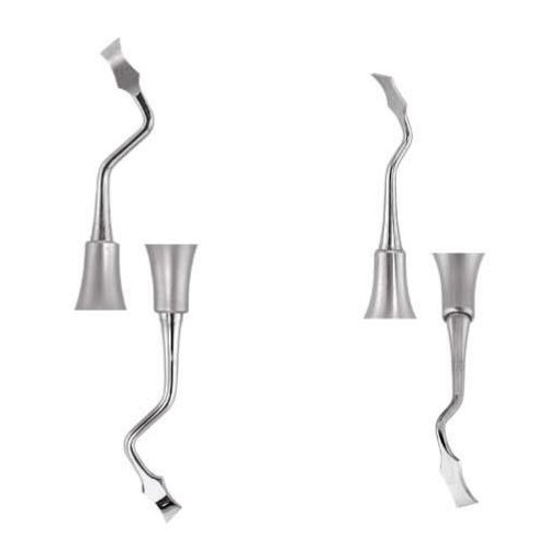 RHODES BACK ACTION 6 (10MM Handle) C36/37 6 GDC | DentalMart