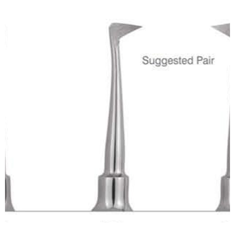 ROOT ELEVATORS SELDIN STANDARD E1L GDC | DentalMart