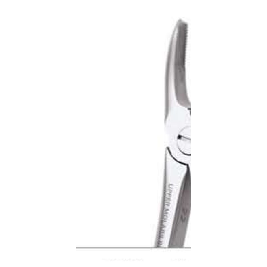 TOOTH FORCEPS STANDARD FX17S GDC | DentalMart