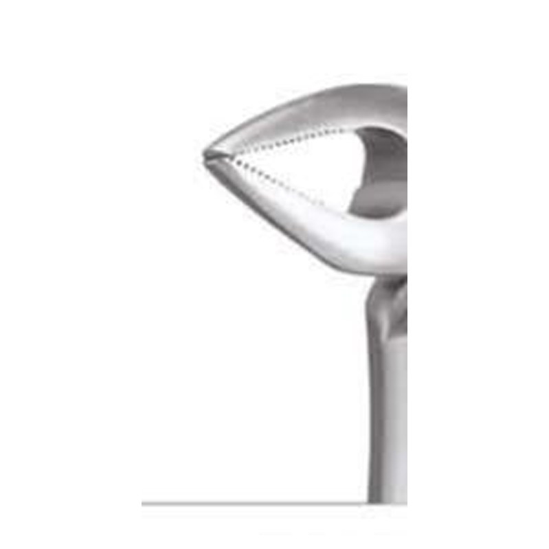 TOOTH FORCEPS STANDARD FX33AS GDC | DentalMart