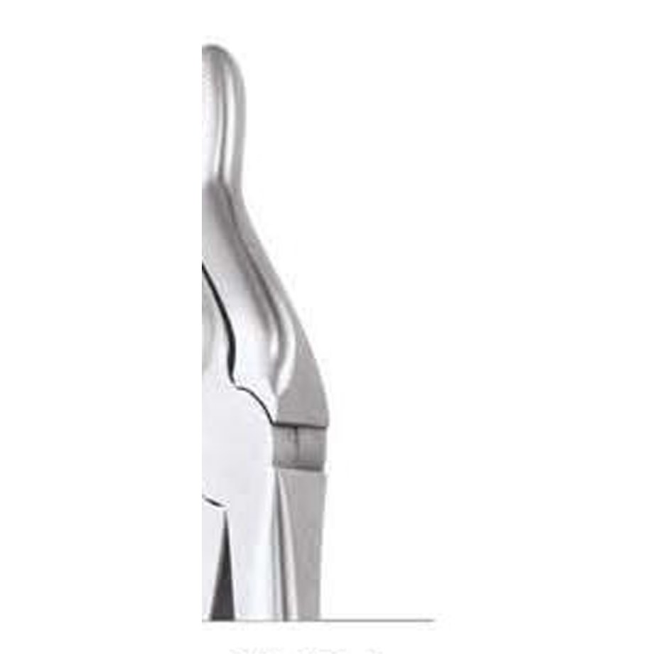 TOOTH FORCEPS PREMIUM FX67AP GDC | DentalMart
