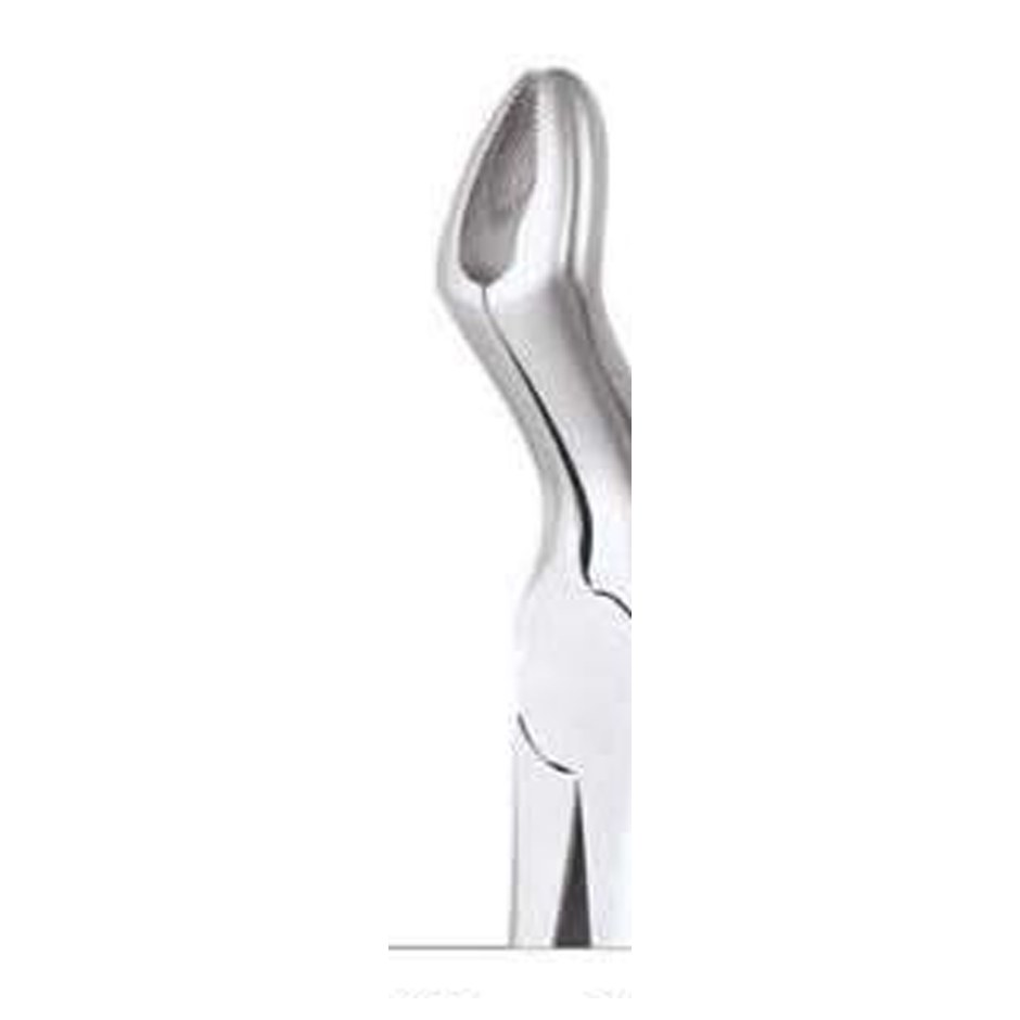 TOOTH FORCEPS STANDARD FX67AS GDC | DentalMart