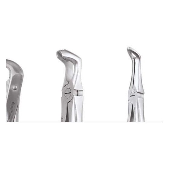 TOOTH FORCEPS PREMIUM FX79E GDC | DentalMart