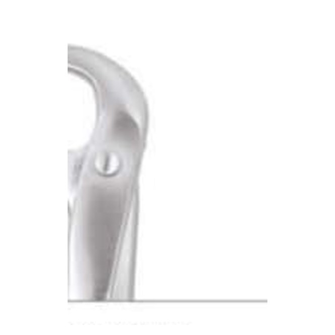 TOOTH FORCEPS PREMIUM FX86BP GDC | DentalMart