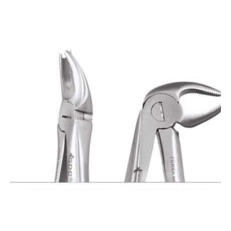 TOOTH FORCEPS ERGONOMIC FX90E GDC | DentalMart
