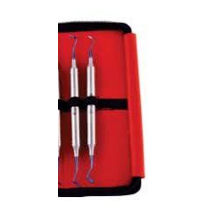 RESTORE COMPOSITE INSTRU POSTERIOR SOLO POSTERIOR SOLO GDC | DentalMart