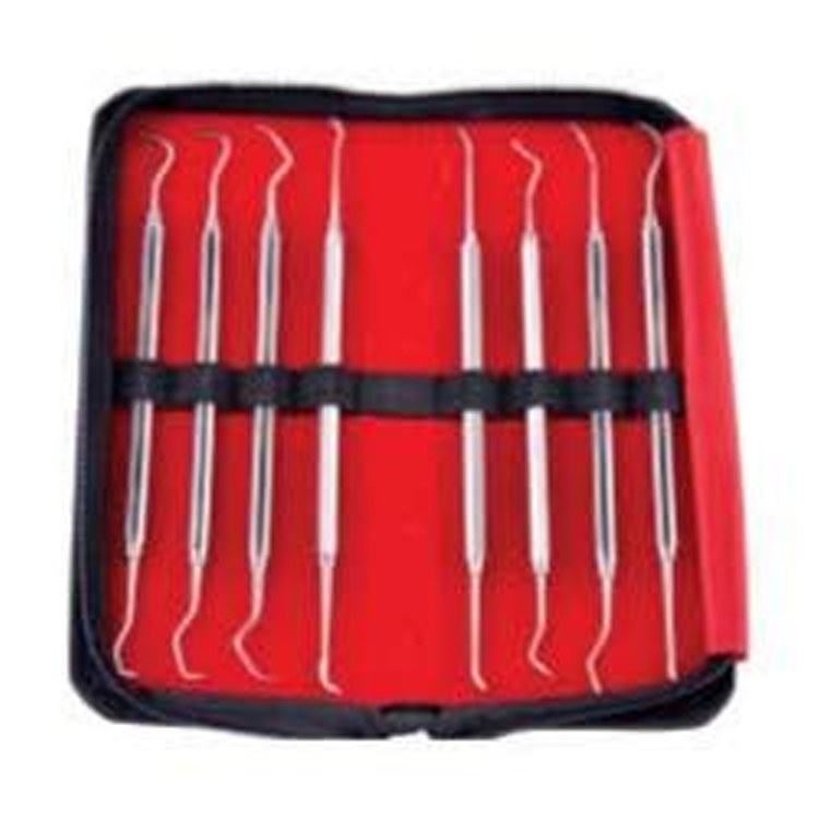 PERIO SCALER (HOLLOW RING HANDLE) S/8 4 PSP8 4 GDC | DentalMart