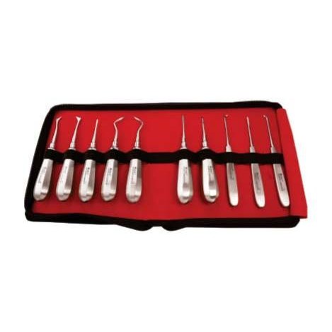 ROOT ELEVATORS STANDARD W WARWICK JAMES S/10 POUCH RESP10 GDC | DentalMart